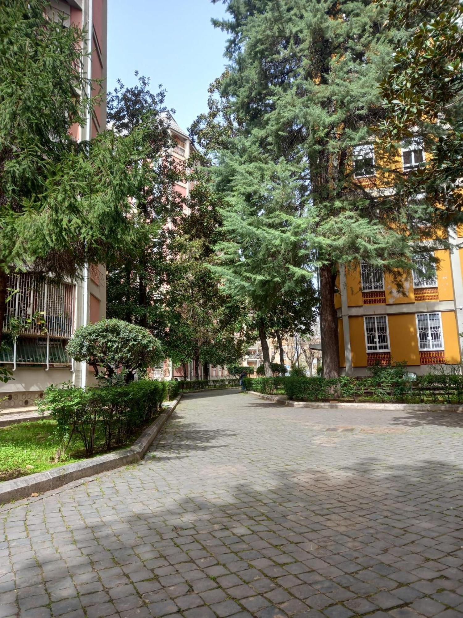 Oasi Ridolfi Apartment *